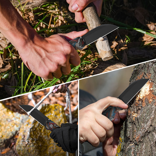 Colorful 3" Folding Knife | 14C28N | G10 | Parrot | FINTISO