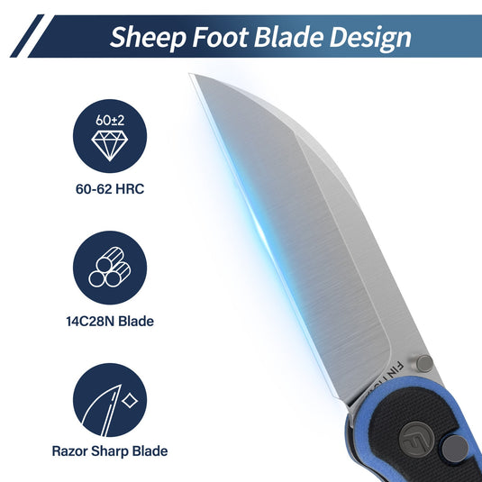 Black Blue Parrot Fintiso