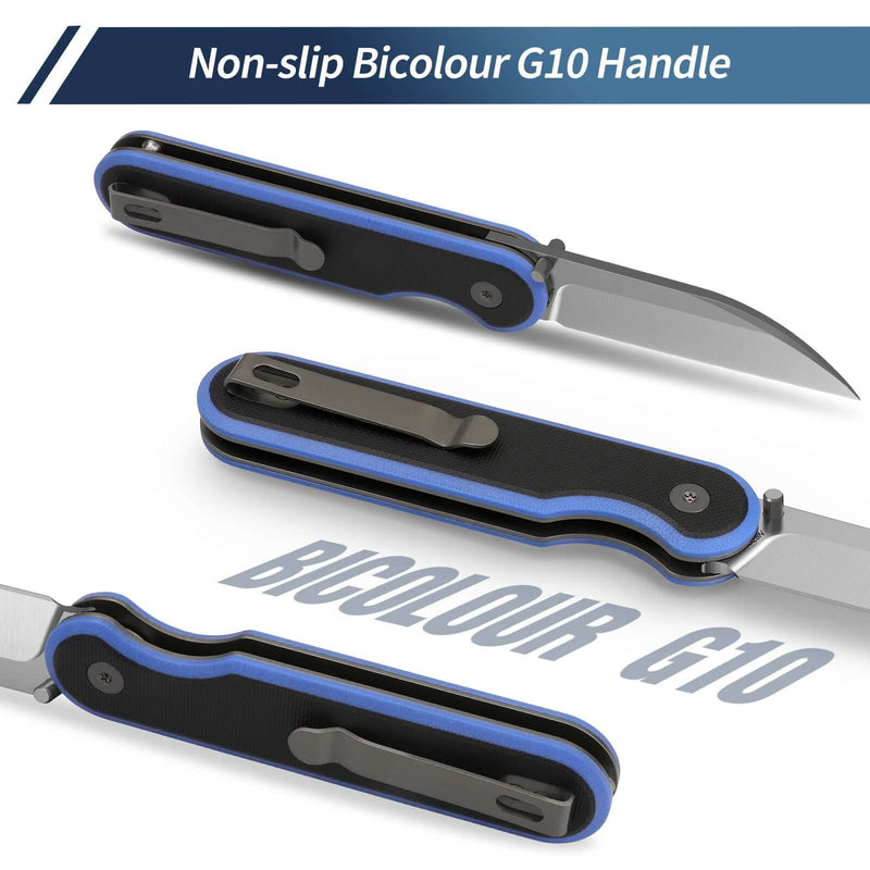 Load image into Gallery viewer, Black Blue Parrot Fintiso