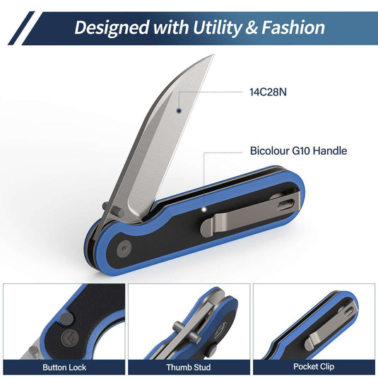 Black Blue Parrot Fintiso