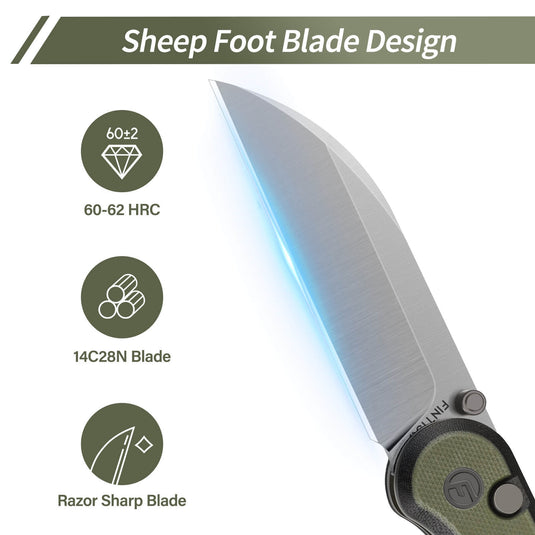 Black Green Parrot Fintiso