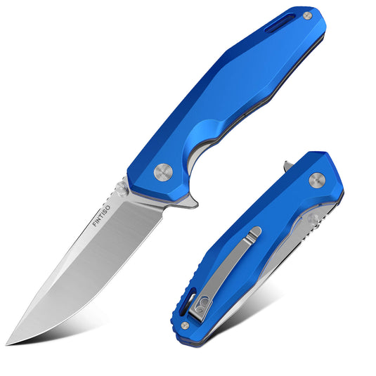 Blue Odyssey Fintiso