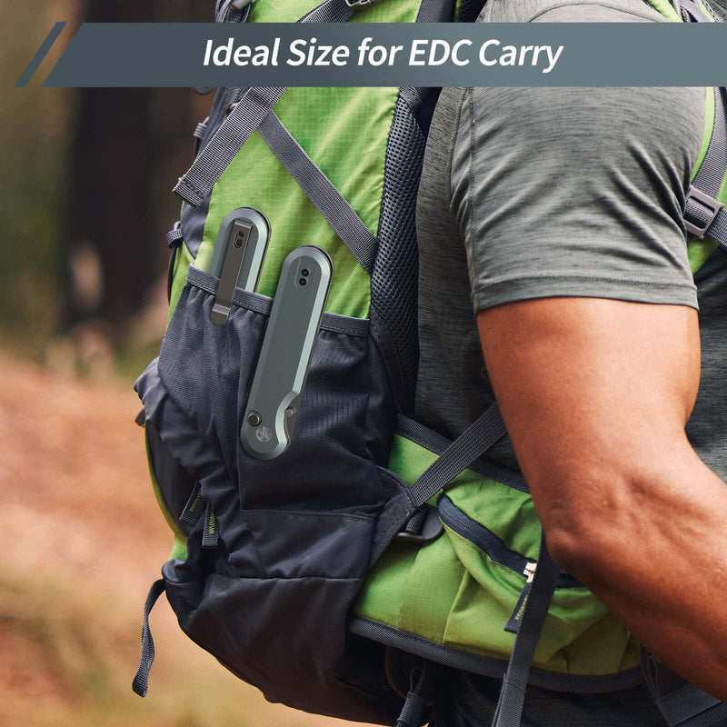 Load image into Gallery viewer, Grey Parrot Fintiso