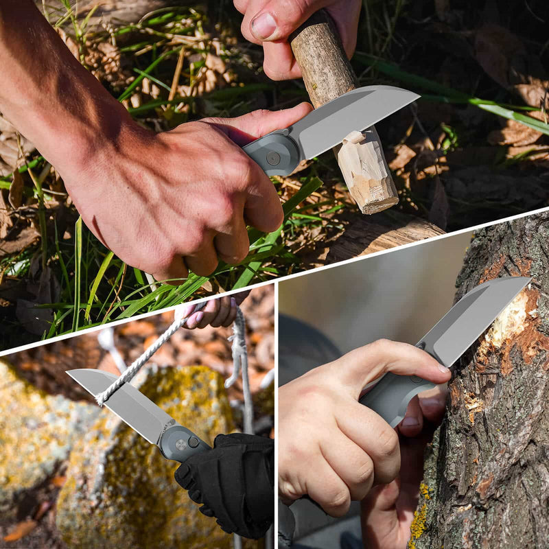 Load image into Gallery viewer, Grey Parrot Fintiso