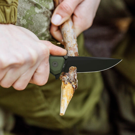 Olive Odyssey Fintiso