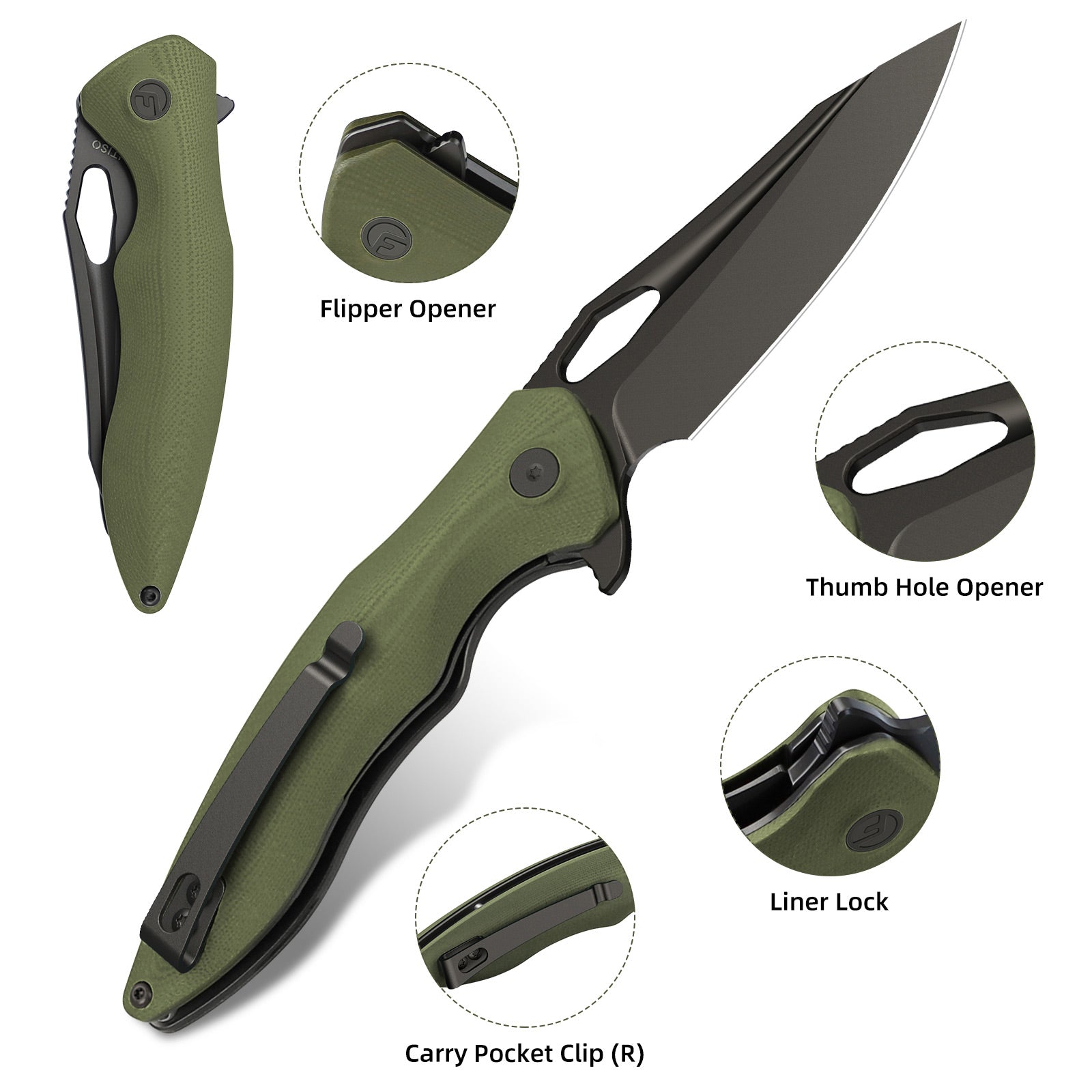 Olive 3.3" Folding Knife | 14C28N | G10 | Apollo | FINTISO